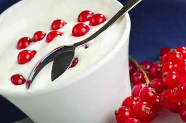 Bowl with Fresh yoghurt and redcurrant .
