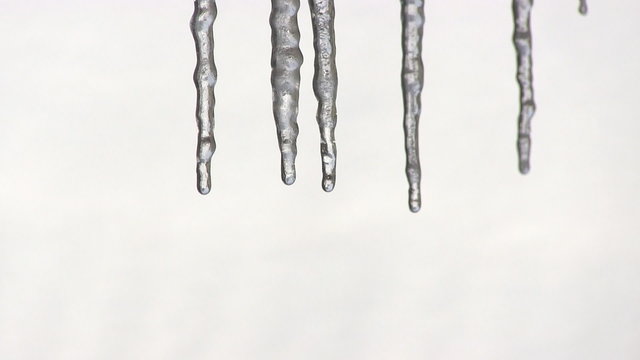 Icicles melting in the warm weather.