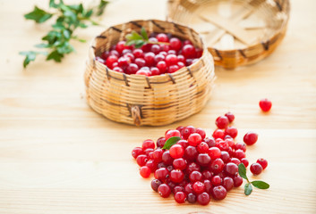 Fresh red cranberries