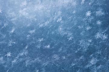 Fototapeta premium snowflakes