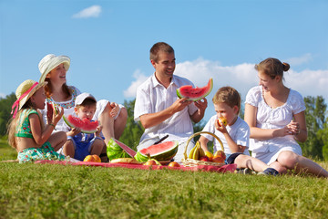 family picnic in park