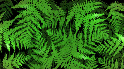 Green fern background.