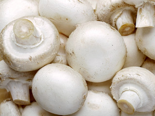 Champignons