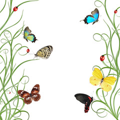 Beautiful floral design