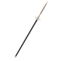 3d render of war spear
