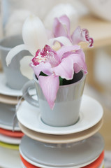 Delicious pink lily in cup arranged for sale