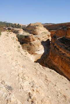 oasis de Mides, canyon