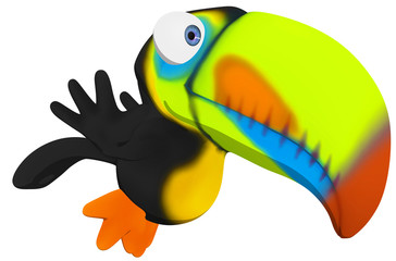 Toucan