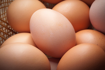 chicken eggs