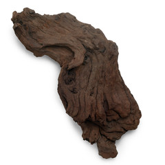 piece brown old tree isolated