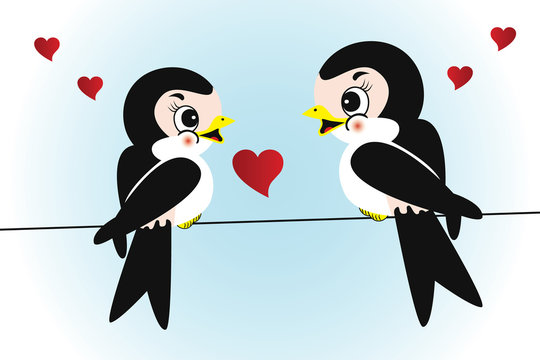 Cute swallows in love
