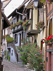 Fototapeta na wymiar Ruelle d'Alsace pietonne