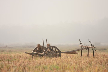 antique wagon wheels