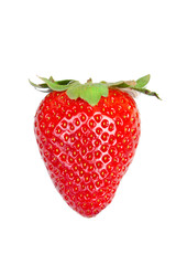 Fresa fresca del tiempo