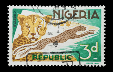 Nigerian mail stamp and leaping cheetah, circa 1965