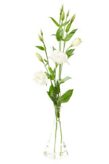 Vase of flowers isolated on white. eustoma