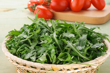 Rucola