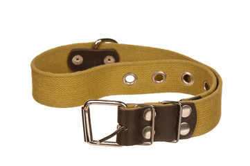 Dog collar