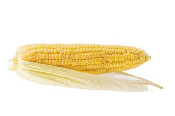 Fresh corn