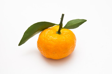 orange on a white background