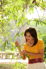 Pretty Asian woman in yellow dress  and  bamboos leaf .