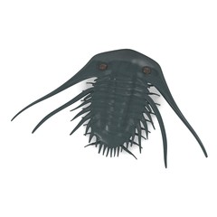 3d render of trilobite animal