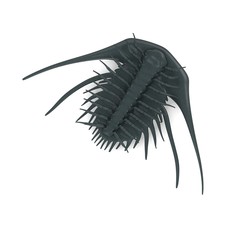 3d render of trilobite animal