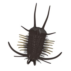 3d render of trilobite animal