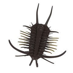 3d render of trilobite animal