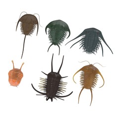 3d render of trilobite animal