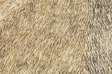 thatch background