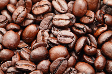 coffee bean