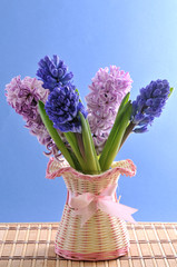 Bouquet of hyacinth isolated on background