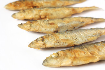 Grilled fish capelin