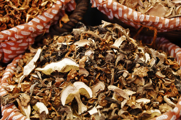 Funghi