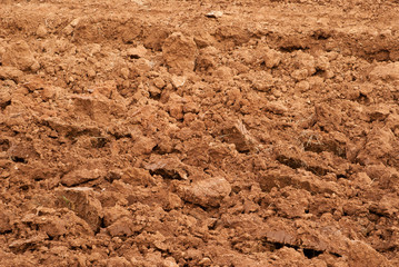Clods of earth fresh plowing