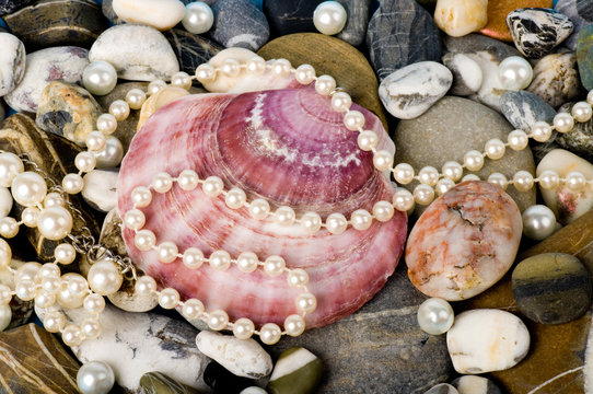 Beautiful exotic shell and stones, pearls