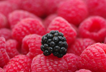 red raspberries
