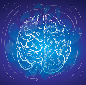 concept - brain and creativity