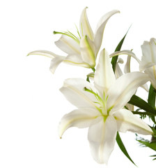 Fototapeta na wymiar Fragment pęczek białych lilii 