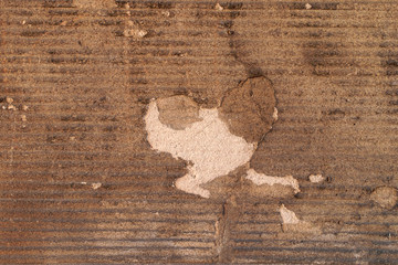 Obraz premium Feuchte Sandsteinwand