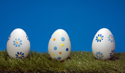 eggs on green grass