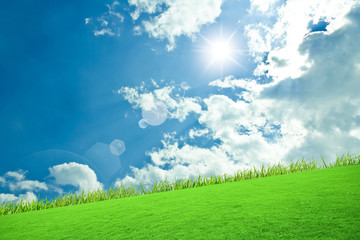 Obraz na płótnie Canvas The grass with a blue sky