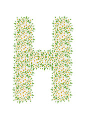 H, daisy flower alphabet isolated on white background