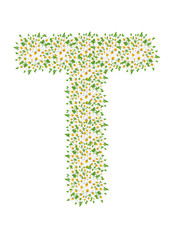 T, daisy flower alphabet isolated on white background