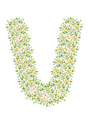 V, daisy flower alphabet isolated on white background