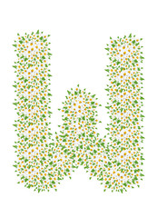 W, daisy flower alphabet isolated on white background