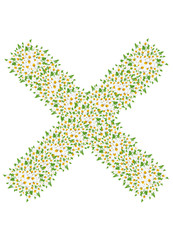 Fototapeta na wymiar X, daisy flower alphabet isolated on white background