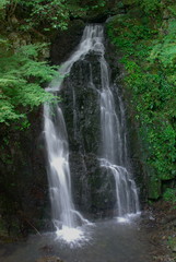 Fototapeta na wymiar 轟の滝（香川県まんのう町）