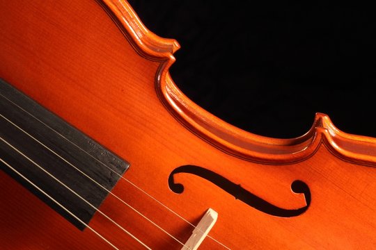 Musica, violino